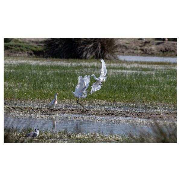 PHOTO84, CLUB, 84 , LUBERON